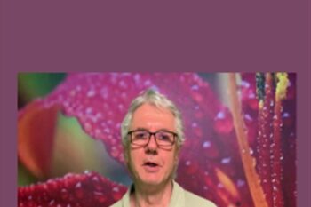 NLP Practitioner 2020 - Chris Mulzer