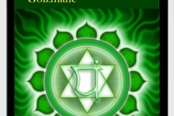 Clearing & Resolving the Heart Chakra & Emotional Body to the Level of Forgiveness & Acceptance - Michael David Golzmane