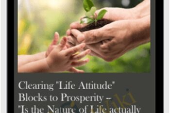 Clearing Life Attitude Blocks to Prosperity-Is the Nature of Life actually Good? - Michael David Golzmane