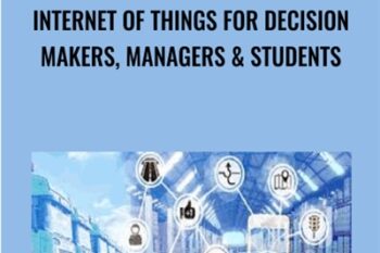 Internet of Things for Decision Makers