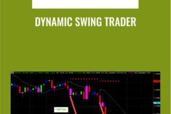 Dynamic Swing Trader - NETPICKS (Unlocked)