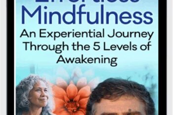 Effortless Mindfulness - Loch Kelly