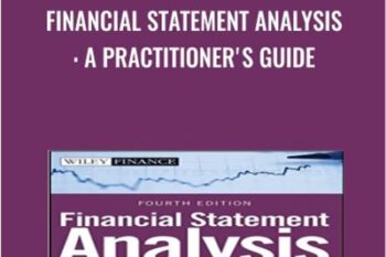 Financial Statement Analysis: A Practitioners Guide - Martin Fridson and Fernando Alvarez