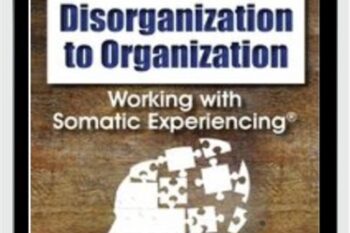 From Disorganization to Organization: Working with Somatic Experiencing® - Nancy Napier