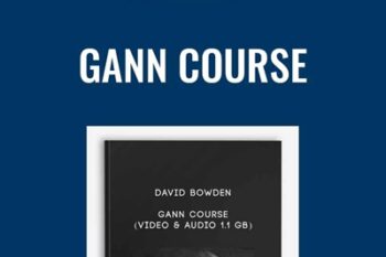 Gann Course (Video and Audio 1.1 GB) - David Bowden