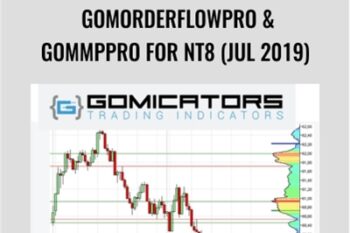 GomOrderFlowPro and GomMPPro for NT8 (Jul 2019) - Gomicators