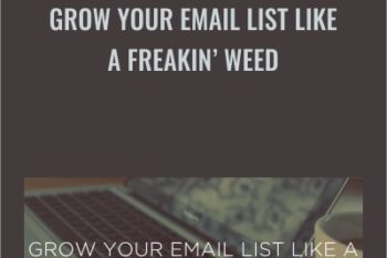 Grow Your Email List Like A Freakin Weed - David Siteman Garland