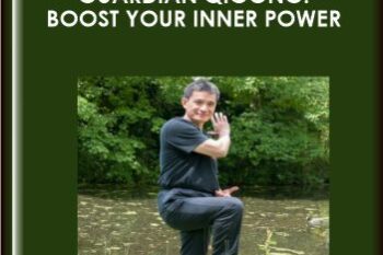 Guardian Qigong: Boost Your Inner Power  -  Robert Peng