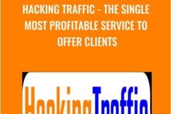 Hacking Traffic - The Single Most Profitable Service To Offer Clients