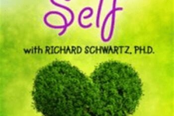 Healing Self: Going Beyond Acceptance to Self-Compassion - Richard C. Schwartz