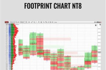 Footprint Chart NT8 - Indicatormall