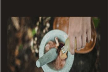 Healing in the New Paradigm - Inelia Benz