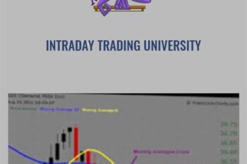 Intraday Trading University - Market Stalkers