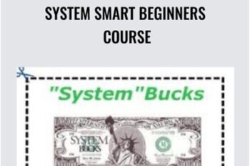 System Smart Beginners Course - Ken McCarthy