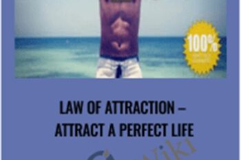 Law of Attraction - Attract a Perfect Life