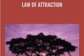 Law of Attraction - Abraham-Hicks
