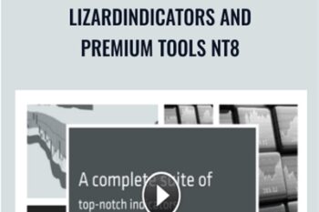 LizardIndicators and Premium Tools NT8 - LizardIndicators