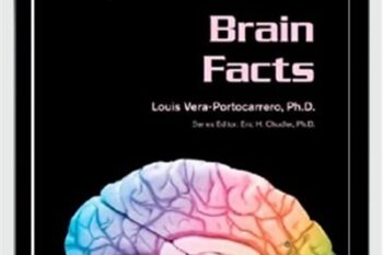 Brain Facts (Gray Matter) - Louis Vera-Portocarrero