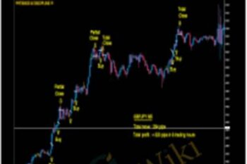 MAX Advanced Course - Maxtradingsystem