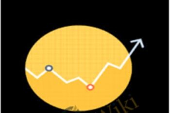 Maximizing Your Success Trading Puts and Calls - Sarah