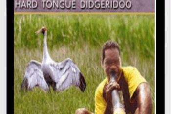 Hard Tongue Didgeridoo - Milkay Mununggurr