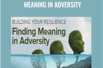 Building Your Resilience Finding Meaning in Adversity - Molly Birkholm