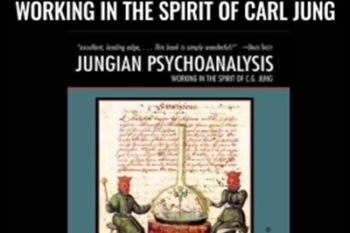 Jungian Psychoanalysis: Working in the Spirit of Carl Jung - Murray Stein