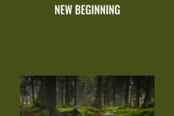 New Beginning - Wizardnow