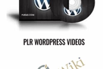 PLR WordPress Videos - Steve Dougherty