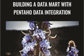 Building a Data Mart with Pentaho Data Integration - Packt Publishing