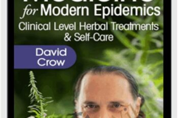 Plant Medicine for Modern Epidemics - David Crow