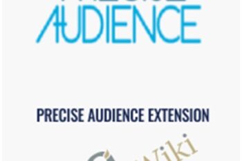 Precise Audience Extension - Faceids.com