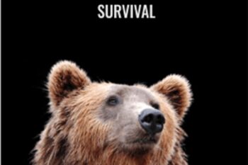Live Webinar Bear Market Survival - ReadySetCrypto