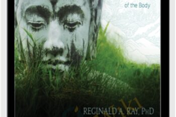 Somatic Descent Experiencing the Ultimate Intelligence of the Body - Reginald A. Ray