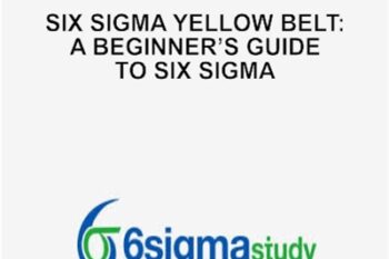 Six Sigma Yellow Belt: A Beginners Guide to Six Sigma - AIGPE