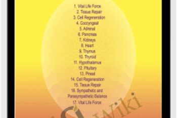 Endocrine Glands - Sound Healing Center