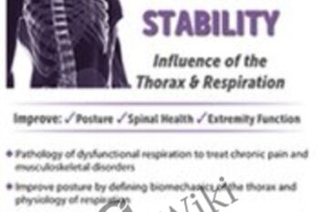 Spine Health and Trunk Stability: Influence of the Thorax and Respiration - Debra Dent