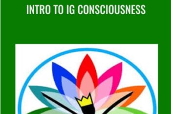 Intro To IG Consciousness - Stephane Hemon (Ideagasms)