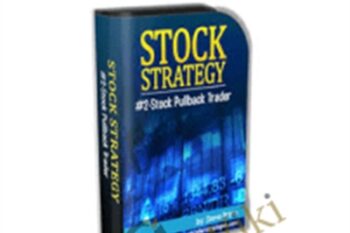 Stock Strategy #2 - Steve Primo