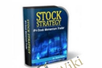 Stock Strategy #4 - Steve Primo