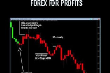 Learning How to Successfully Trade the E-mini and SandP 500 Markets - Todd Mitchell