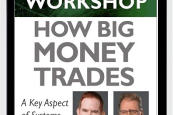 How Big Money Trades: A Key Aspect of Systems Thinking - Van Tharp