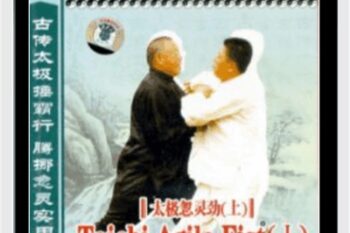 Tengnuo Huling Taichi Chuan - Zhan Guo Yuan