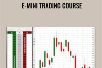 E-mini Trading Course - Zoran Kolundzic