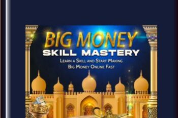 Big Money Skill Mastery  -  Ty Frankel