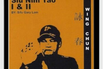 Siu Nim Tao I and II - Gary Lam