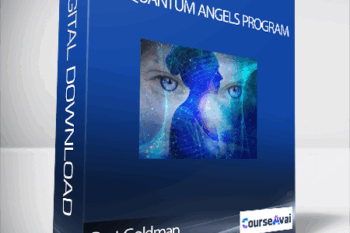 Burt Goldman - The Quantum Angels Program