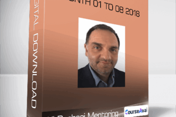 Ali Pashaei Mentoring - Month 01 to 08 2018