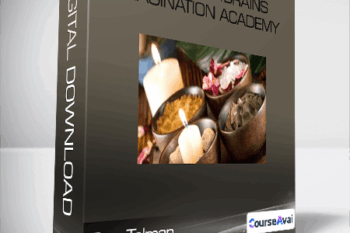 Don Tolman - Bootcamp4Brains / Imagination Academy