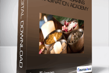 Don Tolman - Bootcamp4Brains / Imagination Academy (Copy)